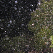 Rain_12