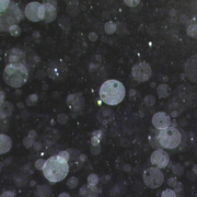 Rain_10