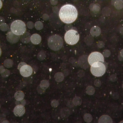 Rain_8