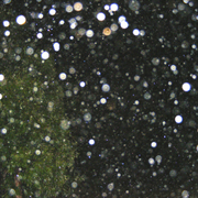 Rain_7