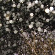 Rain_5