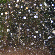 Rain_4