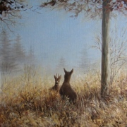 Herten_in_hoge_gras_card