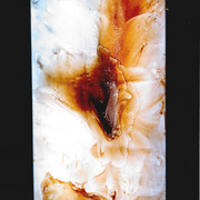 Saradiciero-10_card