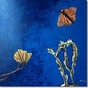 Lago_card