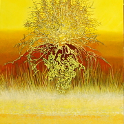 Fen_thorn_card
