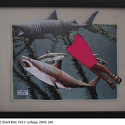 Shark_collageweb_card