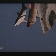 Hanging_sharks_card