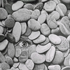 Durchblick_thumb