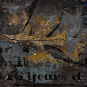 Autumn_textures_card