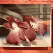 1_card