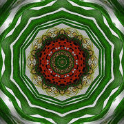 Kaleidoskop13_w_5000_jpg_card