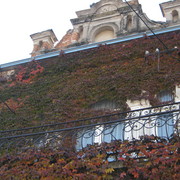 Img_1186_card