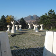 Img_1192_card