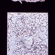 Roadkill_card
