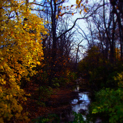 Dsc04688a_card