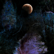 Pc151347editedzz2_card