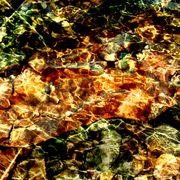 Water_6a_card