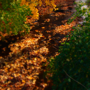 Dsc04690aa_card