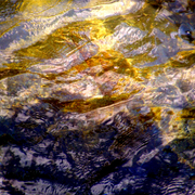 Water_5_card