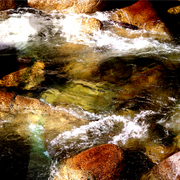 Water_2_card