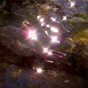 Water_32_card