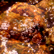 Water_29_card