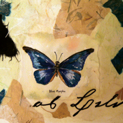 Bluemorphoyessey_card