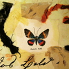 Metallicmoth_thumb
