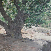 Img_1794_card