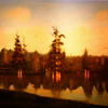 Cypress_break_thumb