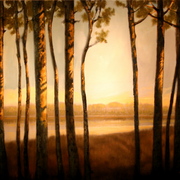 Pines__card