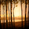 Pines__thumb