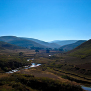 Dsc03740_card