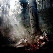 Art_of_mutilation_card