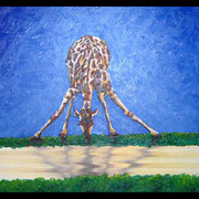 Giraffe_drinking_card