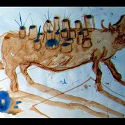 Animal8_card