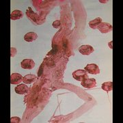 Figura108_card
