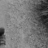 Fotos_030_edited_thumb
