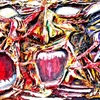 Masquerade_thumb