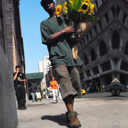 Sunflowers_with_small_car_card