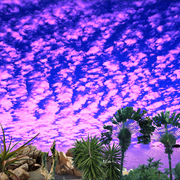 1404-western_evening_sky_card