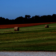 Hay_roll_iizz_card