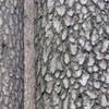 Img_0285_thumb