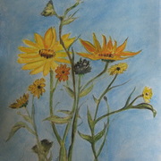 Img_1720_crop_sunflowers_card