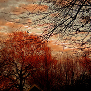Pb281073edited_edited-2azz_card