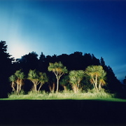 Nachtlandschaft-neuseeland9_card
