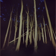 Nachtlandschaft