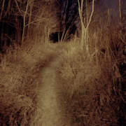 Nachtlandschaft