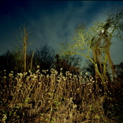 Nachtlandschaft